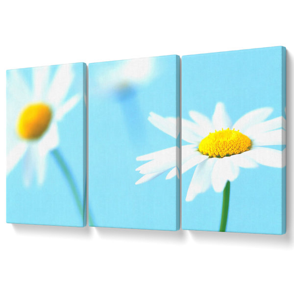 Ebern Designs White Daisies On Blue - 3 Piece Wrapped Canvas Print ...