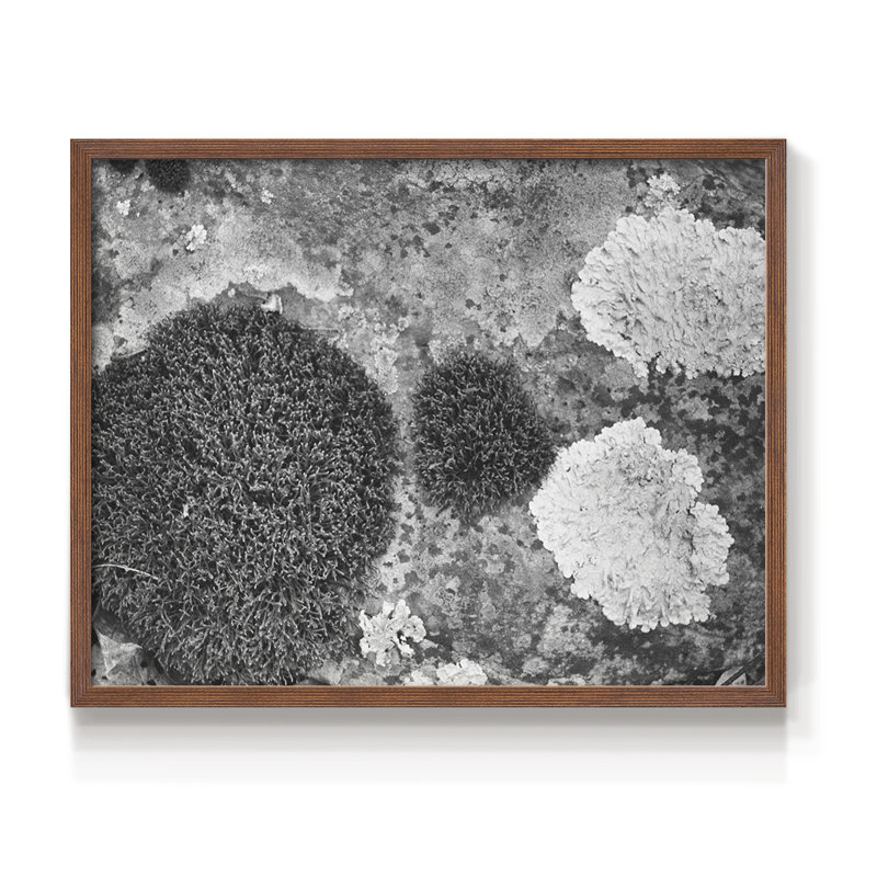 Found Textures XIX - Reproduction encadrée - Restickable, H 22 po x l 28 po, Noyer