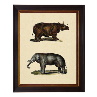 Animal Studies I - Single Picture Frame Print