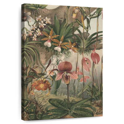 Orchidées Keiri