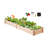 Cassidie Wood Raised Garden Bed