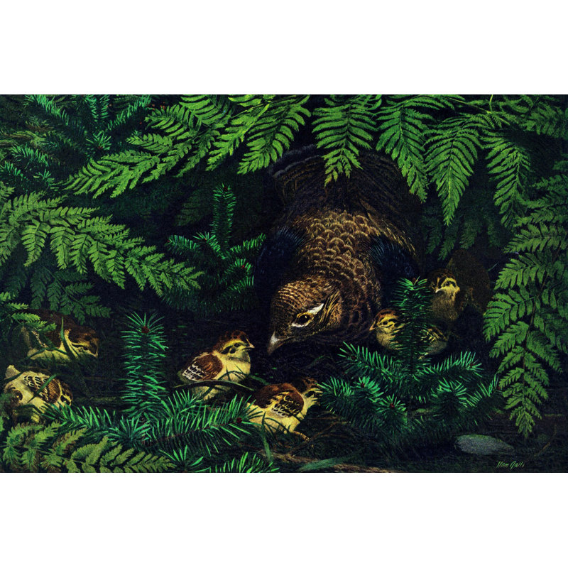 Hen And Chicks by Marmont Hill - Wrapped Canvas Painting, 51cm H x 76cm W