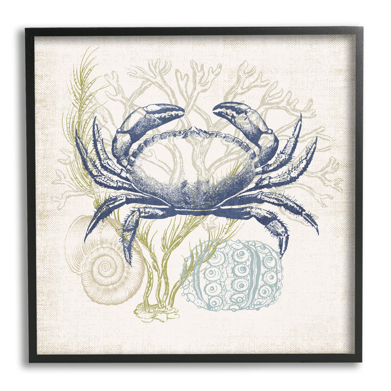Superposition botanique crabe océanique rustique-ao-750, H 24 po x l 24 po x P 1,5 po, Giclée encadrée noir minuit