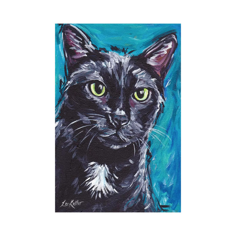 Expressive Black Cat by Hippie Hound Studios - Wrapped Canvas Print, 20.32 cm H x 30.48 cm W