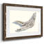 Étude Driftwood III-167451990-167451977