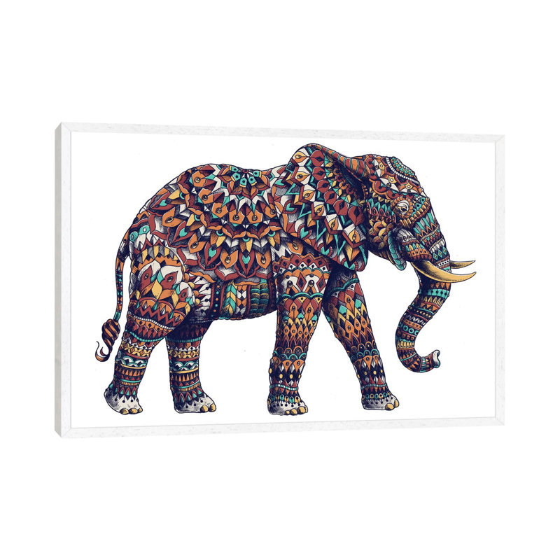 Bioworkz - No Frame Print on Canvas, 101.6 cm H x 66.04 cm W x 1.91 cm D, White Framed