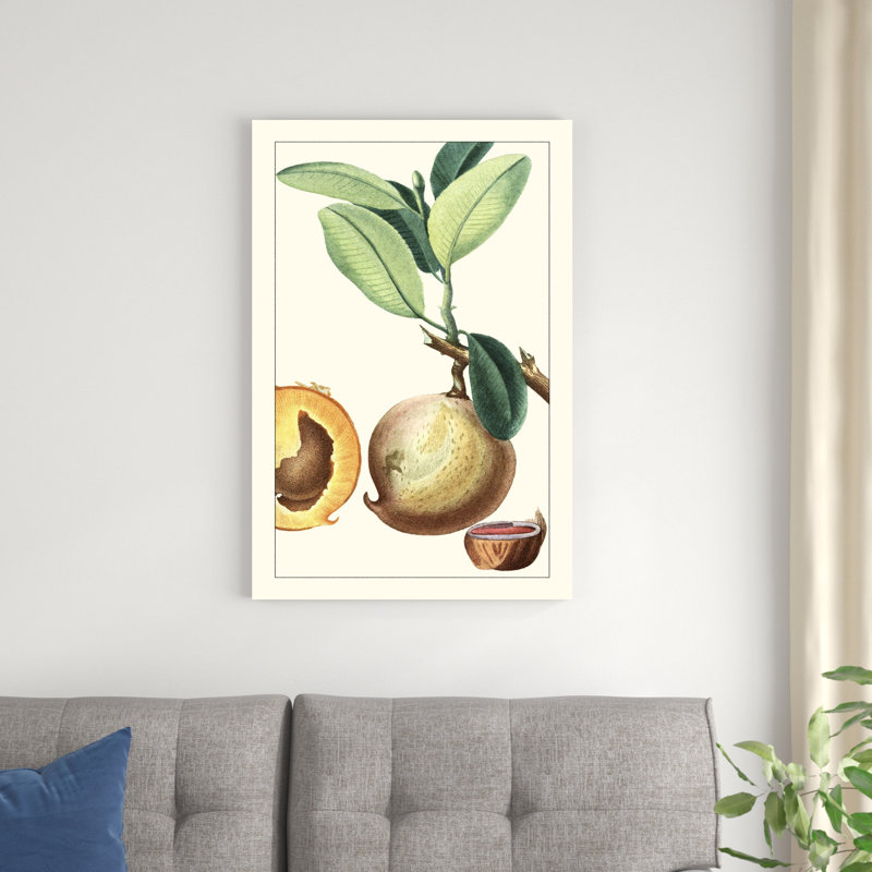 Turpin exotique botanique II, H 36 po x l 24 po x P 1,25 po