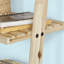Doggett Ladder Bookcase