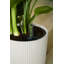 Pot Planter-69444363-69444368