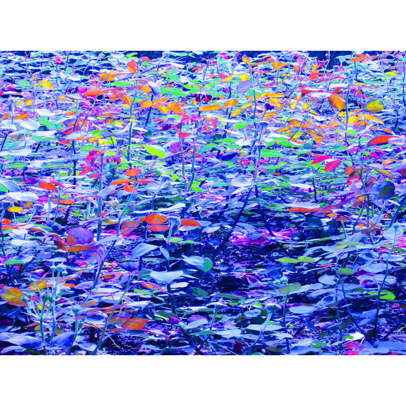 Blue Density Print by Drew Gaffney, Wrapped Canvas, 24" H x 32" W