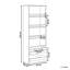 Coelia 163 cm H x 57 cm W Library Bookcase