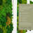 Green Flat sheet Moss 2 sq feet