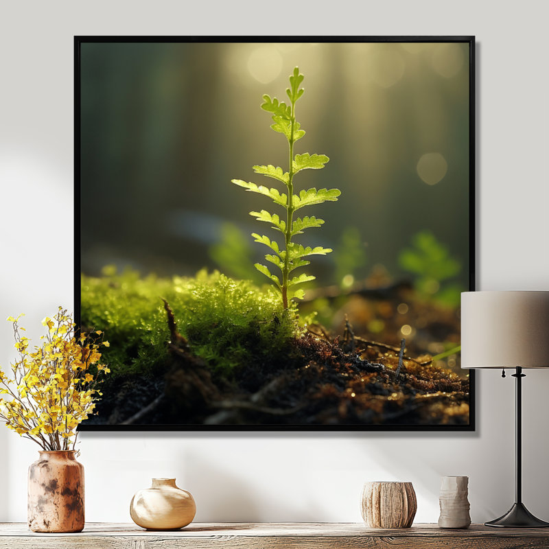 «Young Tree Forest Sunset - Leaves», art mural, Toile avec cadre flottant noir, H 16 po x l 16 po x P 1 po