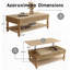 Table basse à plateau relevable avec cadre de rangement en bois massif-66499794-66499806