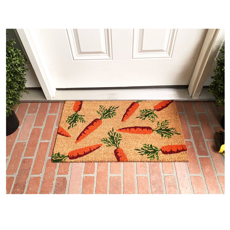 Danilyn Non-Slip Doormat, 17" W x 29" L