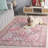 Cina Performance Machine Washable Oriental Rug-284934264