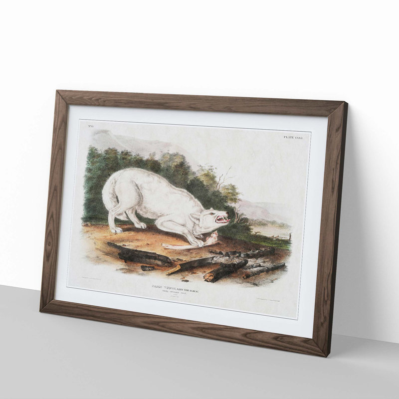 White American Wolf by J.W. Audubon - Framed Print, 27cm H x 36cm W x 2cm D, Walnut Framed