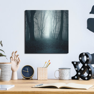 Ivy Bronx 'Forest' by Mark Ashkenazi Metal Wall Art