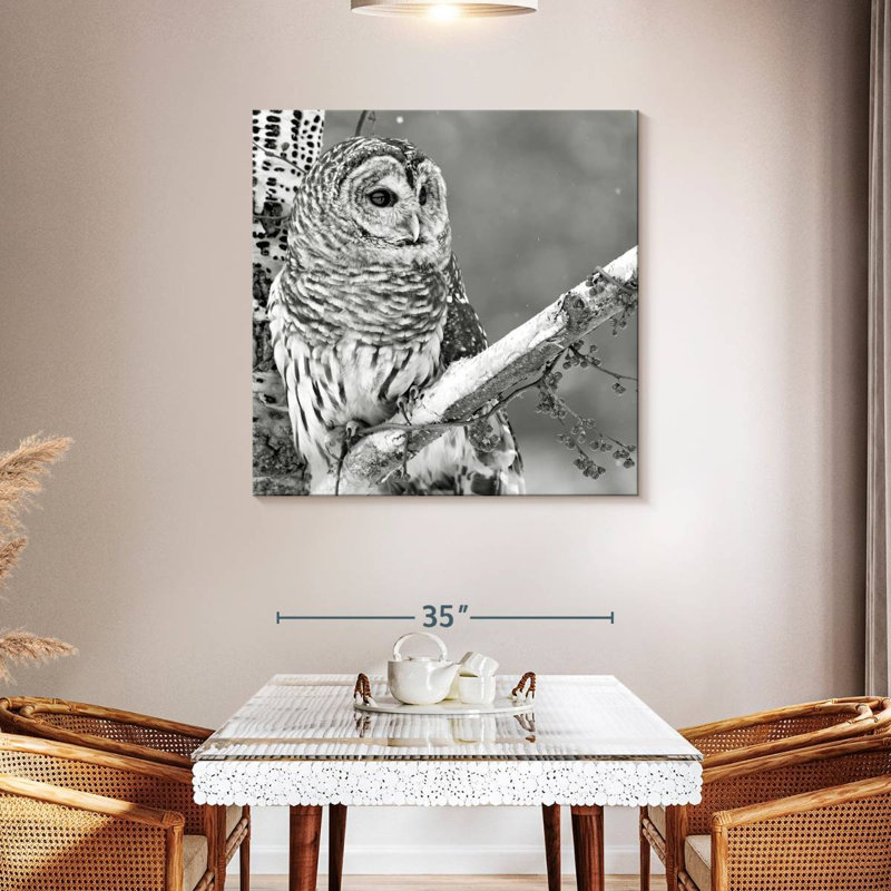 Brampt White Owl BW, 39" H x 39" W