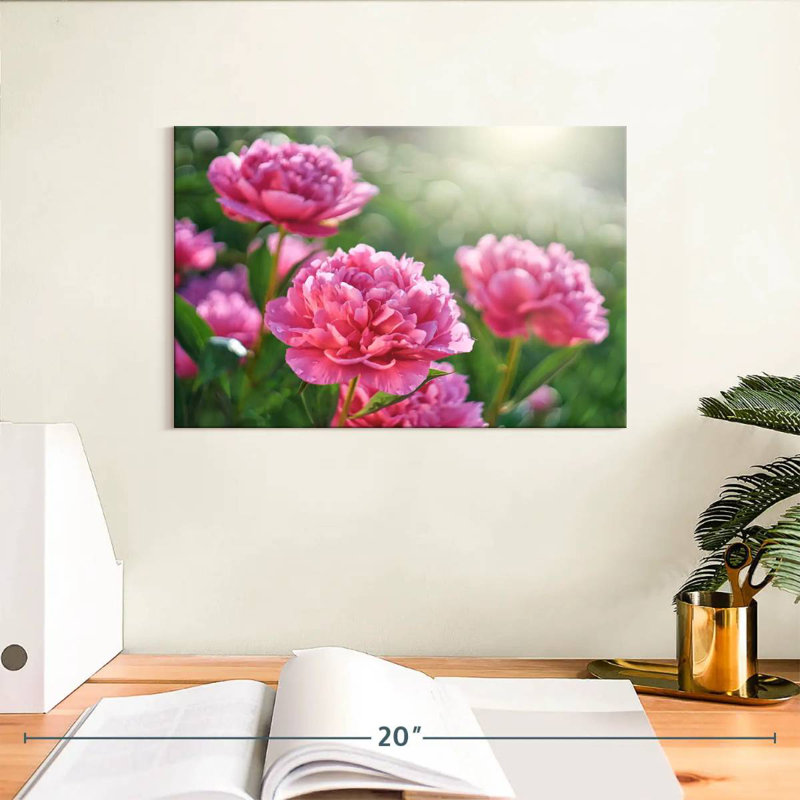 Harnek pivoines roses ensoleillées, H 8 po x l 12 po