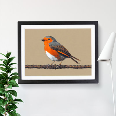 Tremendous Robin Bird - Framed Print