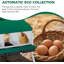 Nesting Boxes-846793710