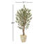 60'' Faux Olive Tree Tree in Planter