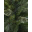 BRAMPTON PINE - Artificial Christmas Tree-106325891-106325893