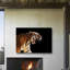 Tiger Print-24074447