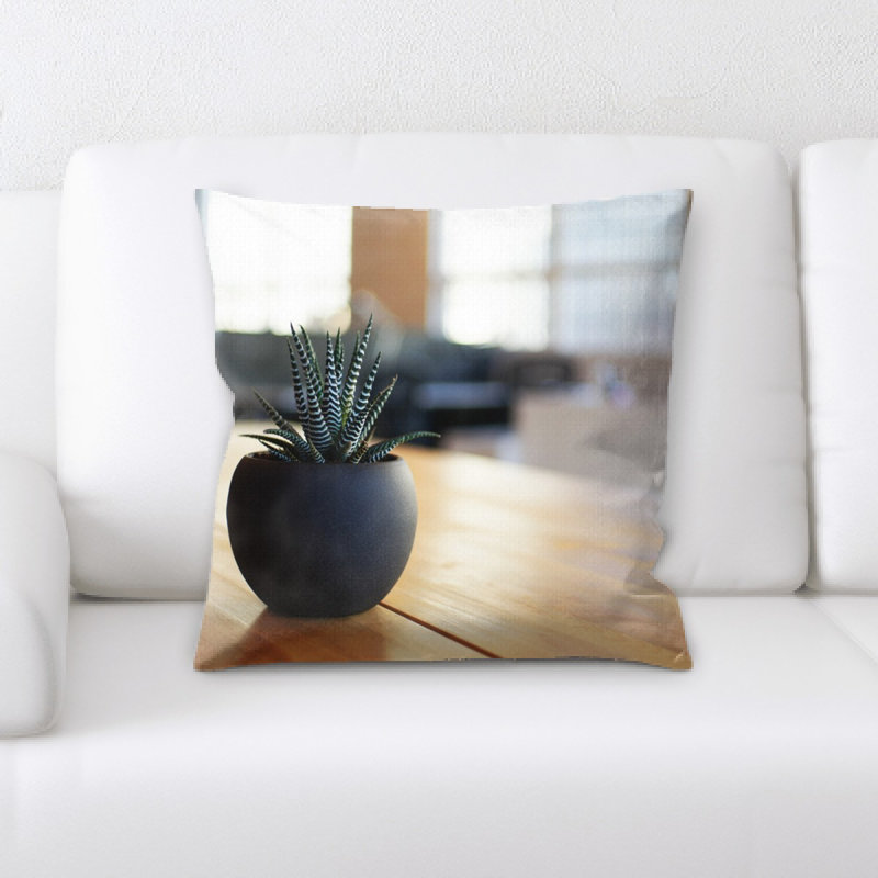 Coussin de plante