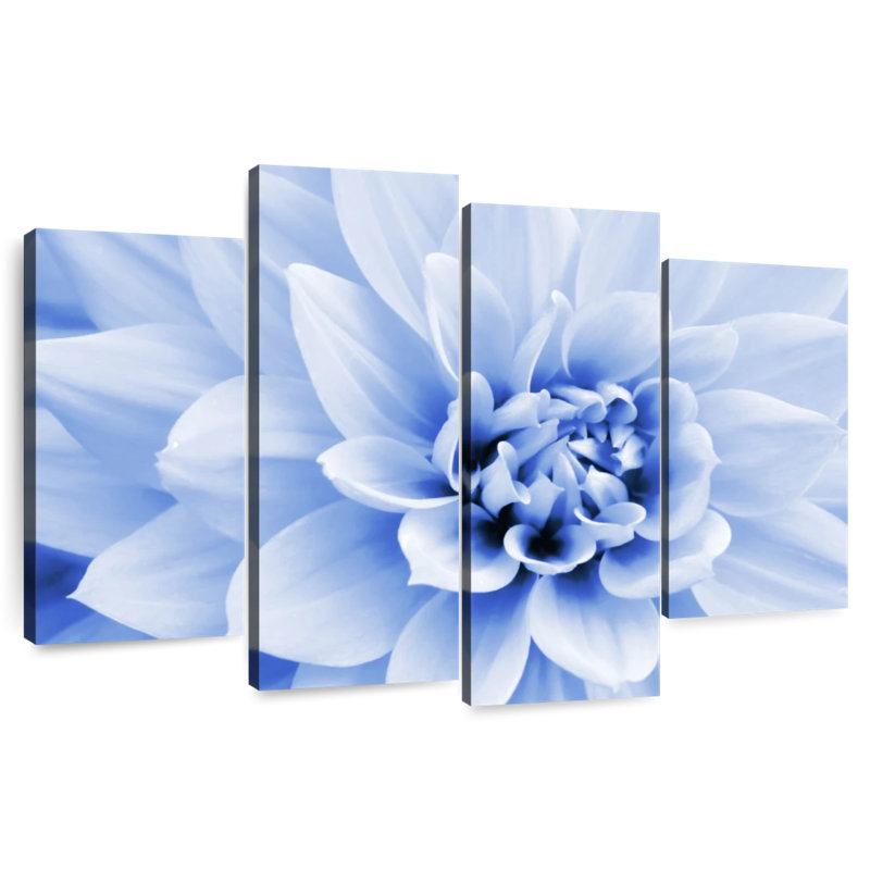 Dahlia bleu pastel Harnek, H 22 po x l 36 po