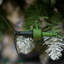 Artificial Pine Christmas Tree-1406656943-1406656941