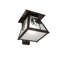 Rustic Lodge 1 - Light Armed Sconce
