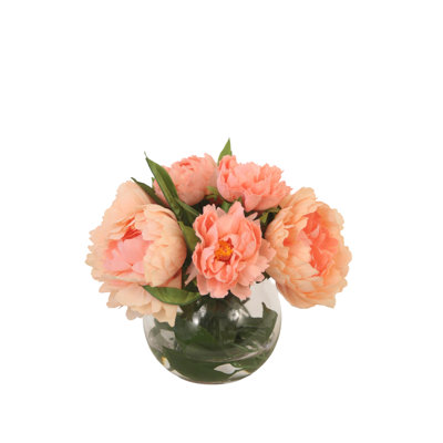 Peach Peonies  in Round Vase