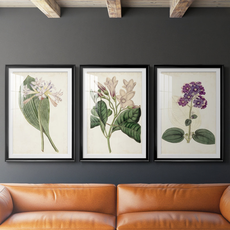 Antique Botanical Collection IV - reproduction encadrée sur mesure de qualité supérieure - 3 pièces, Noir, H 21 po x l 30 po