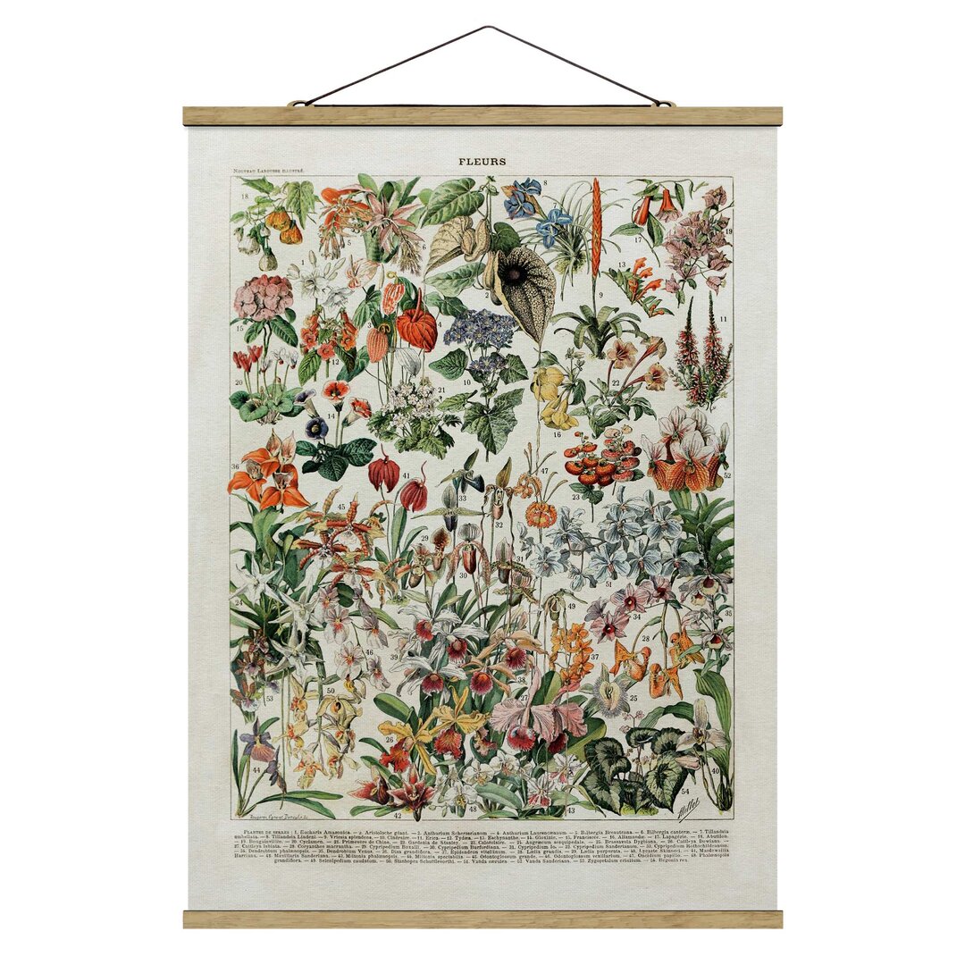 Gerahmtes Poster Vintage Edalation Board Blumen III