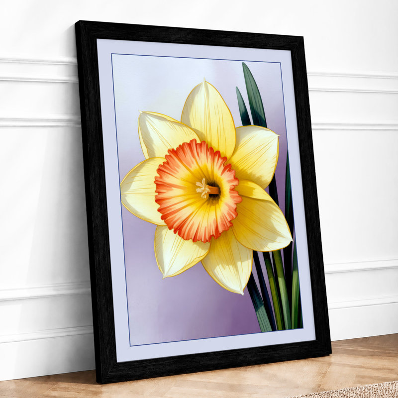 Daffodil Study Botanical - Framed Print, A1 - 84.1 x 59.4 cm, Black