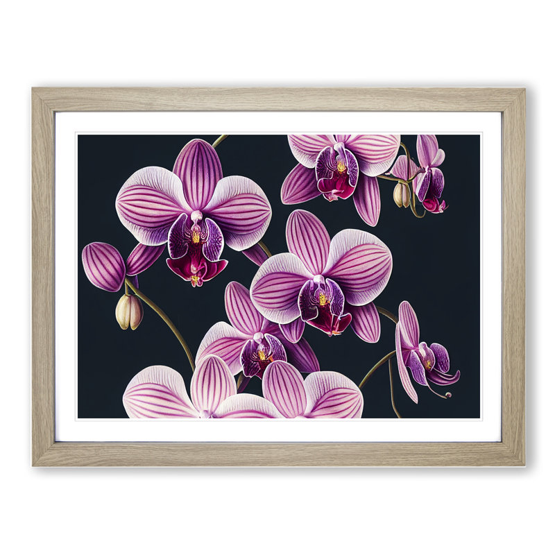 Sparkling Orchid Flowers - Framed Print, 34cm H x 46cm W x 2cm D, Oak
