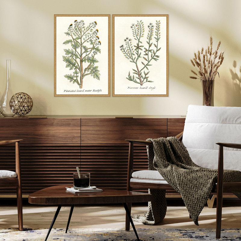 Botanical Plants II Set by Giclee Studio