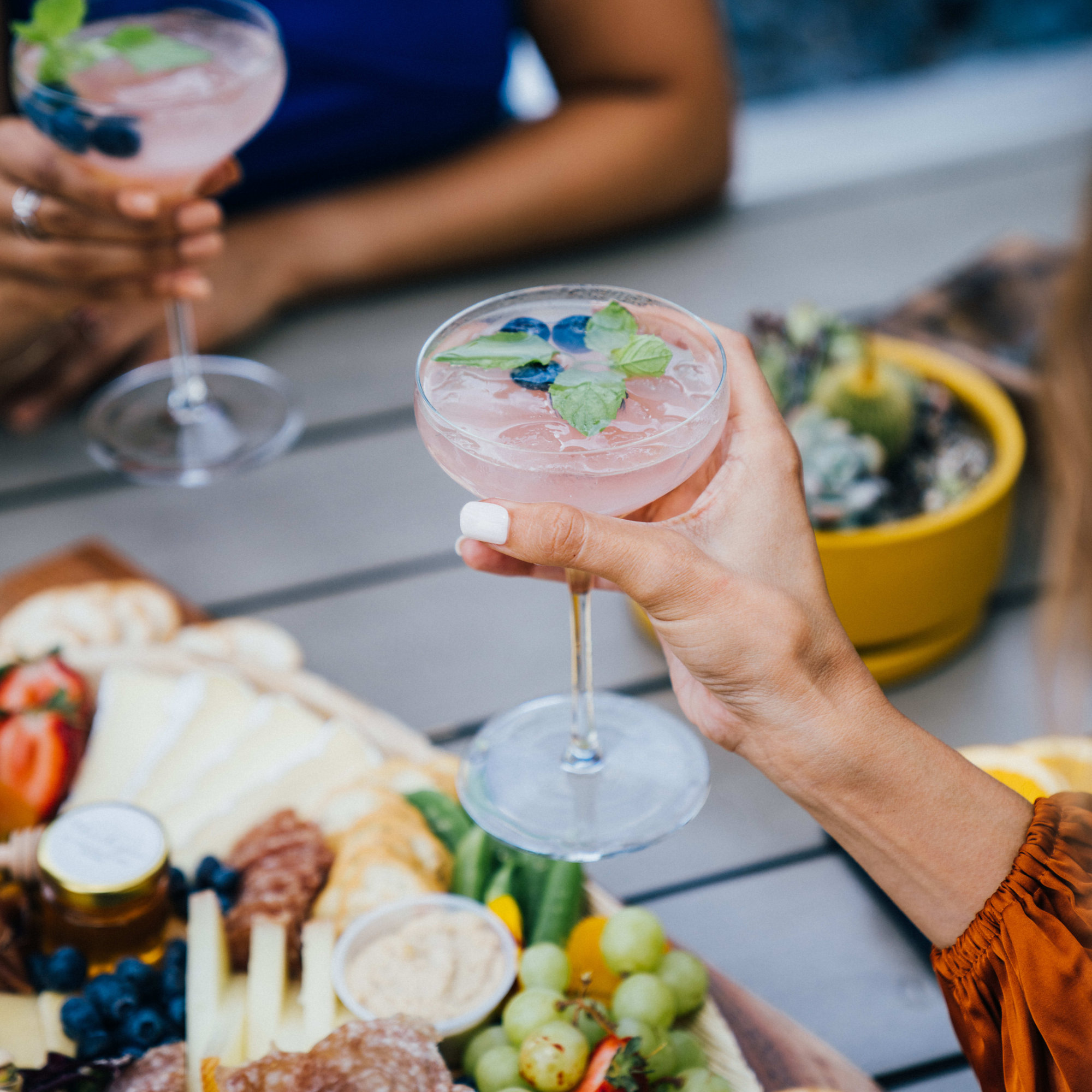 Libbey Signature Greenwich Coupe Cocktail Glasses