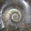 Aloisa Landscape & Nature Crystal