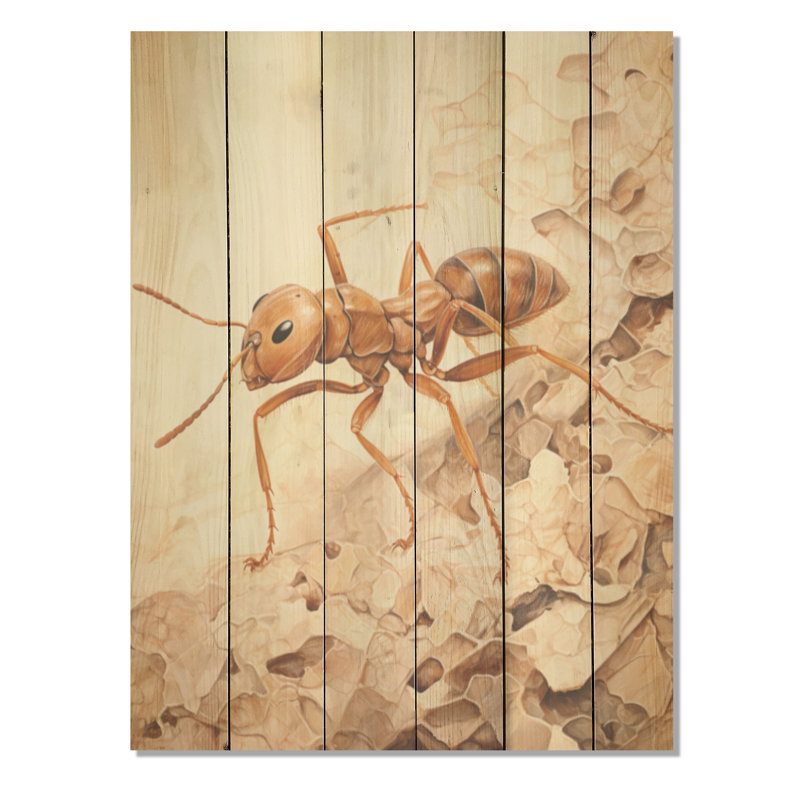Minimalisme, fourmi, collage beige I - art mural sur bois de pin naturel, H 20 po x l 10 po