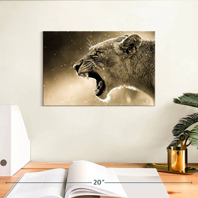 Brampt Enraged Lioness, 8" H x 12" W