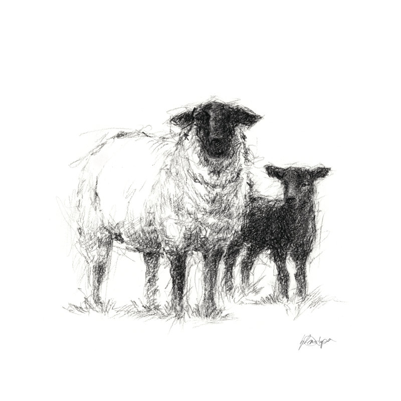 Étude de moutons au charbon II, H 36 po x l 36 po