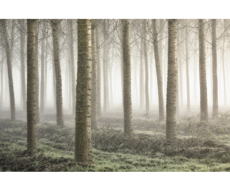 Wrapped Canvas Print, 60.96 cm H x 91.44 cm W