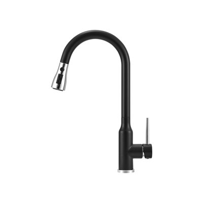 Belfry Kitchen Sidd Pull Down Kitchen Faucet
