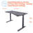 Kaylan PRO Series Ergonomic Curve 30” x 60” Electric Sit-Stand Desk with Dual Motors-1902875831
