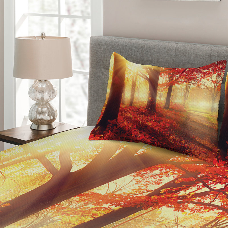 Farmhouse / Country Polyester Coverlet