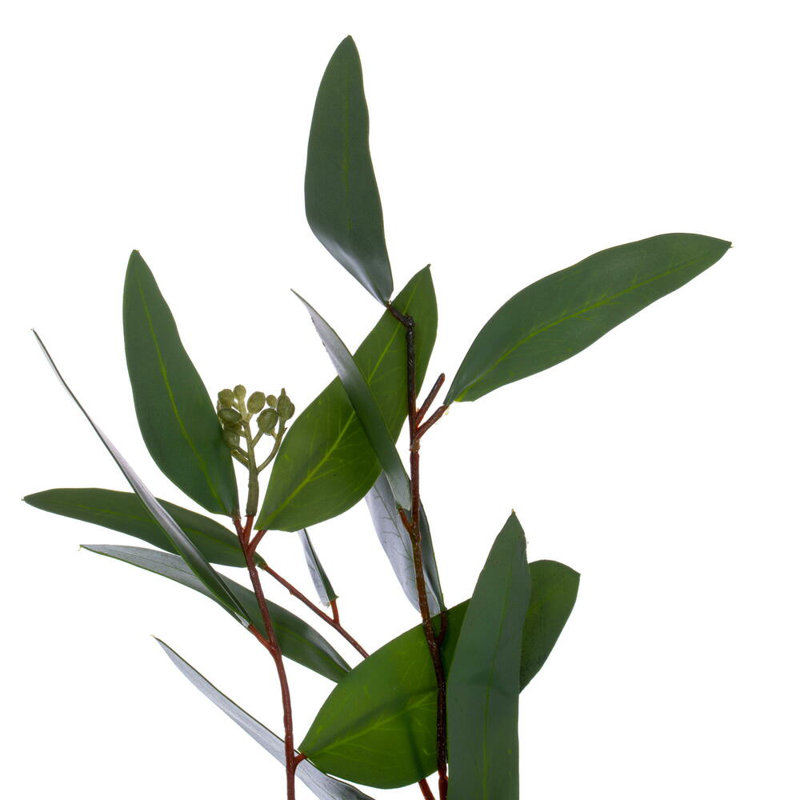 Faux Eucalyptus Polyester 6'' Wreath, 20" H x 6" W x 20" D