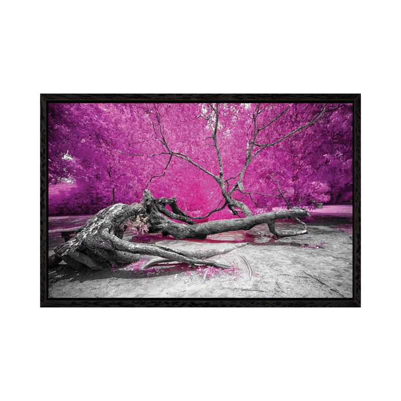 Dry Oak - Bahia, Brazil 1 Piece Wall Art on Canvas, 66.04 cm H x 45.72 cm W, Black Framed